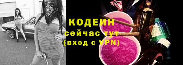 индика Баксан