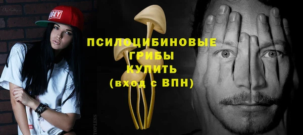 индика Баксан
