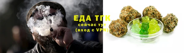 индика Баксан