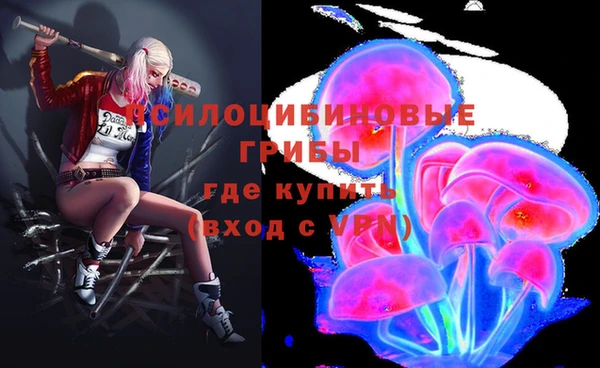 индика Баксан