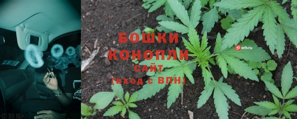 индика Баксан