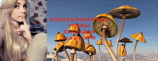 индика Баксан