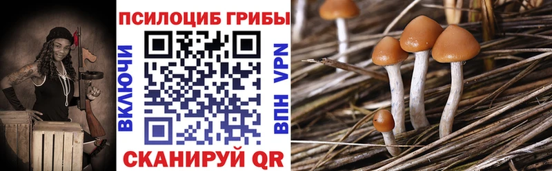 Псилоцибиновые грибы MAGIC MUSHROOMS  это телеграм  Давлеканово 